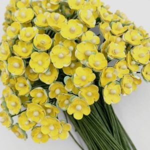 photo_5053172939968154573_y (1)