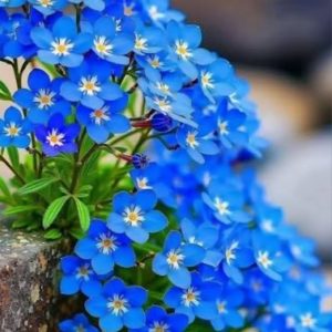 photo_5053172939968154574_y (1)