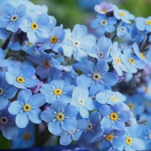 photo_5053172939968154575_y (1)