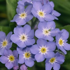 photo_5053172939968154576_y (1)