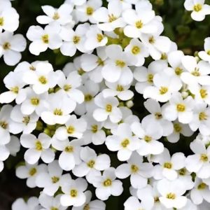 photo_5053172939968154577_y