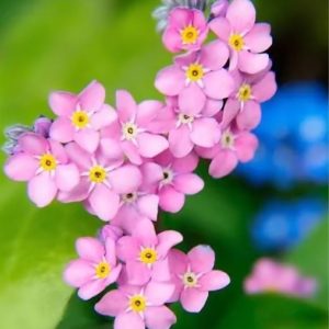 photo_5053172939968154578_y